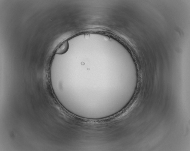 X0000114201405200910091039