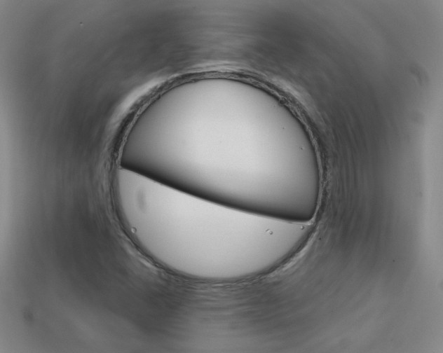 X0000114201406200910091039