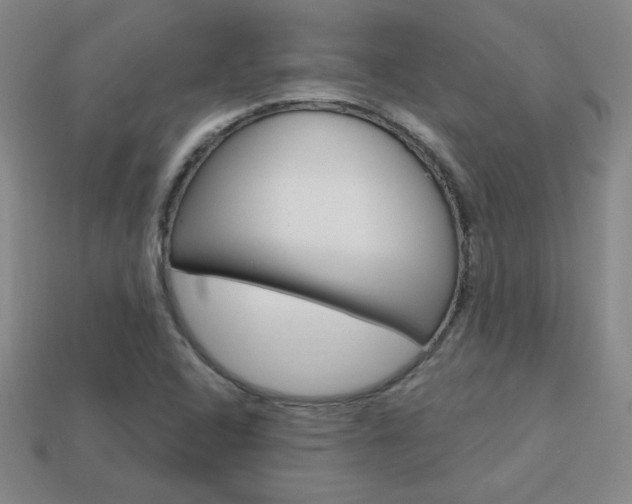 X0000114201408200910091039