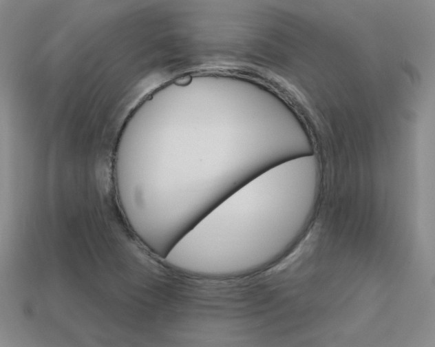 X0000114201409200910091039