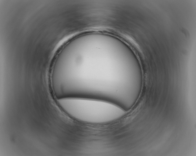 X0000114201412200910091039
