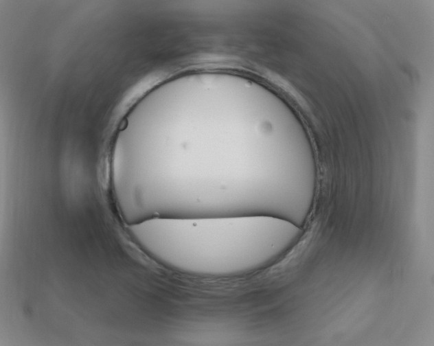 X0000114201413200910091039