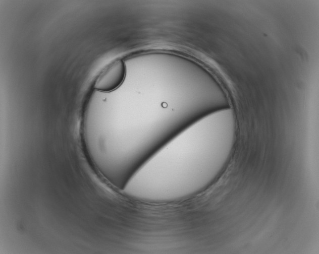 X0000114201416200910091039