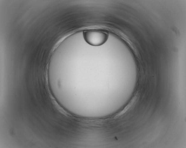 X0000114201417200910091039