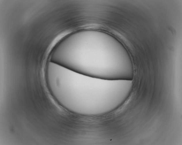 X0000114201418200910091039