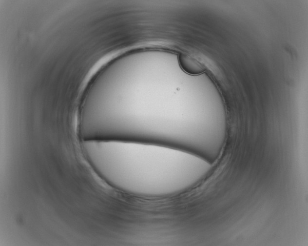 X0000114201420200910091039