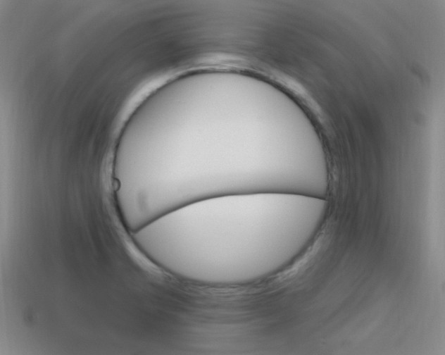 X0000114201421200910091039