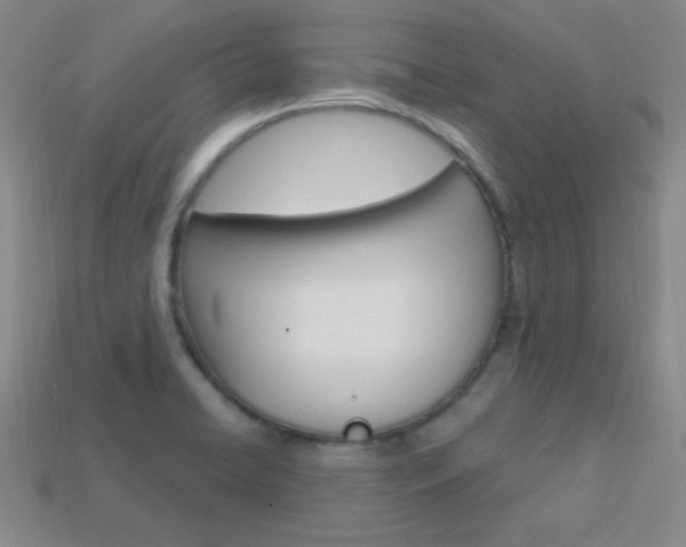X0000114201422200910091039