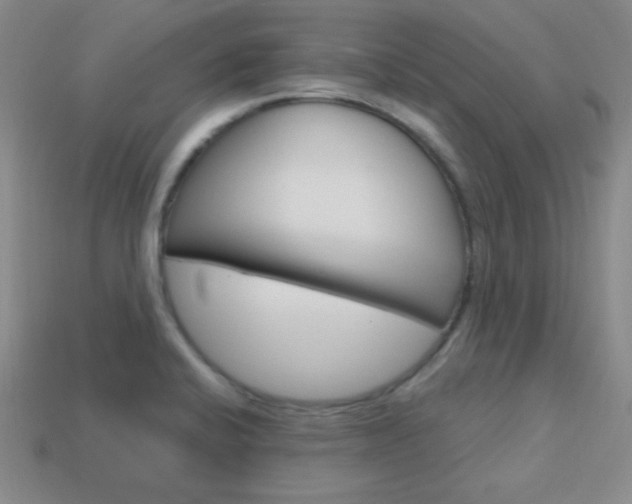 X0000114201424200910091039
