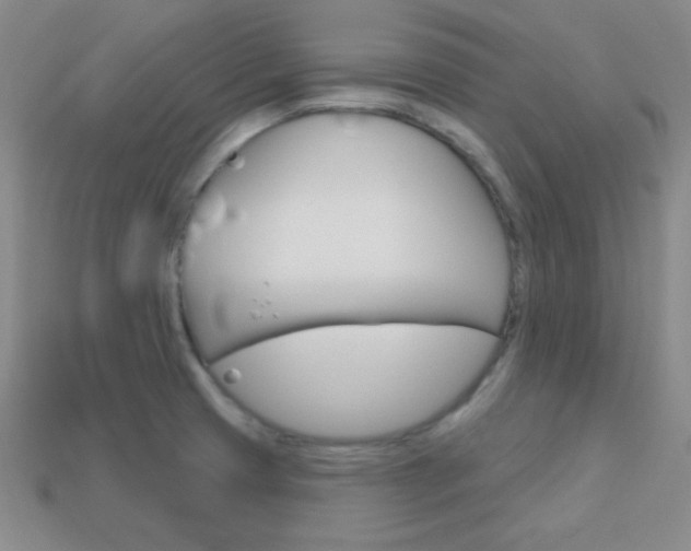 X0000114201425200910091039