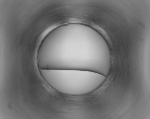X0000114201427200910091039