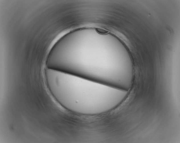 X0000114201428200910091039