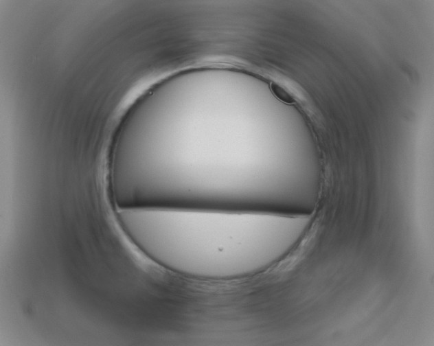 X0000114201430200910091039