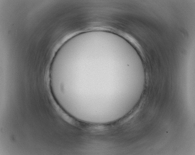 X0000114201431200910091039