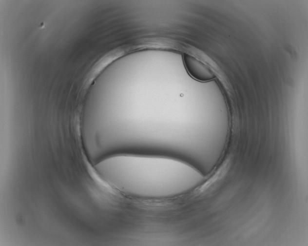 X0000114201433200910091039