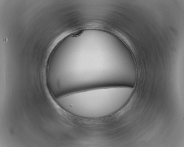 X0000114201434200910091039