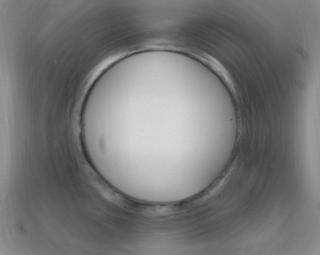 X0000114201435200910091039