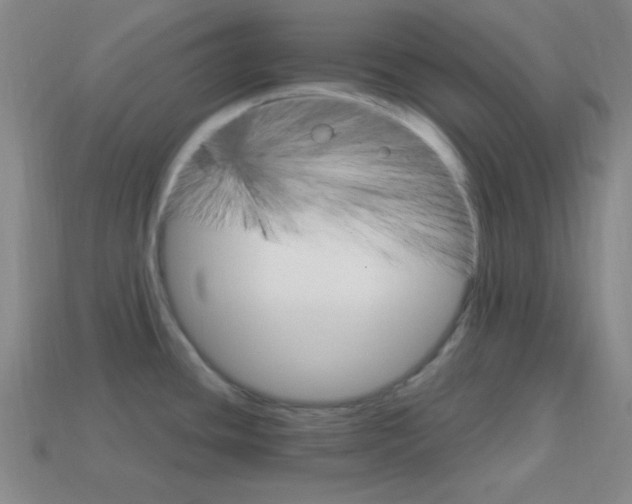 X0000114201436200910091039