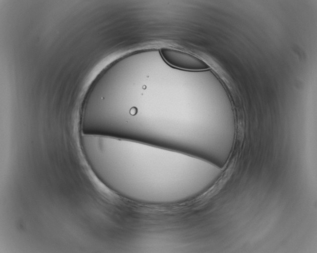 X0000114201438200910091039