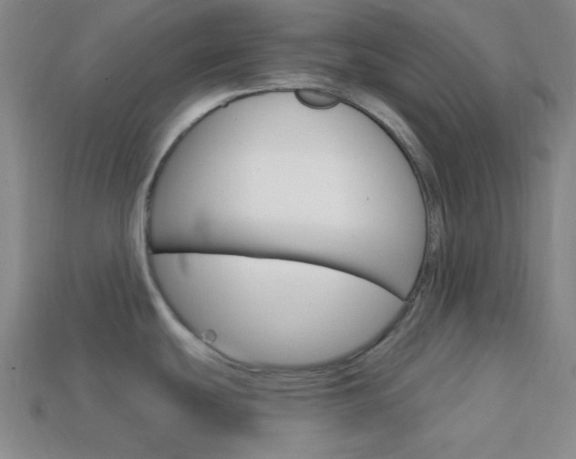 X0000114201439200910091039