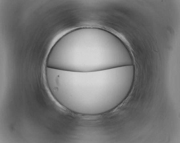 X0000114201440200910091039
