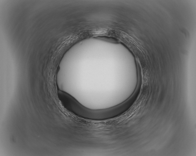 X0000114201441200910091039