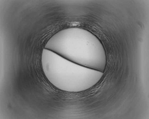 X0000114201442200910091039