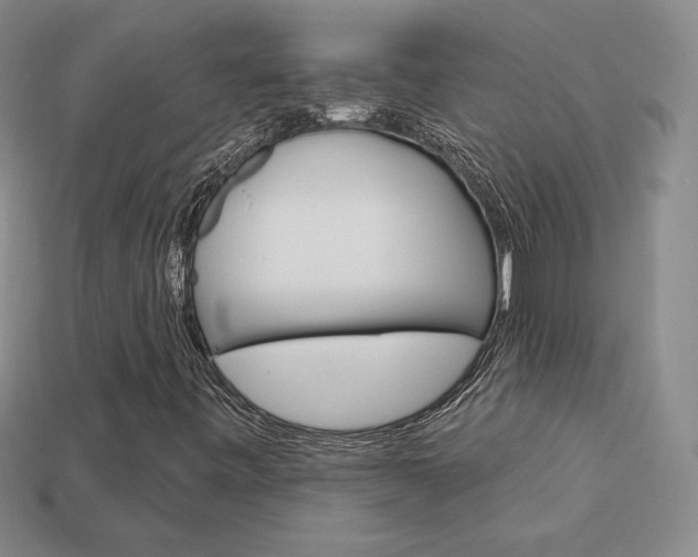 X0000114201443200910091039
