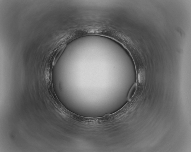 X0000114201444200910091039