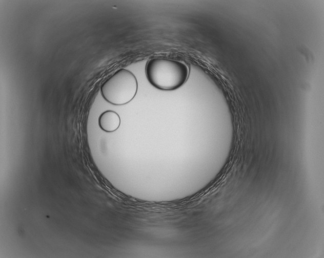 X0000114201445200910091039