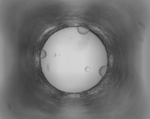 X0000114201446200910091039