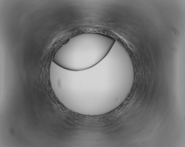 X0000114201447200910091039