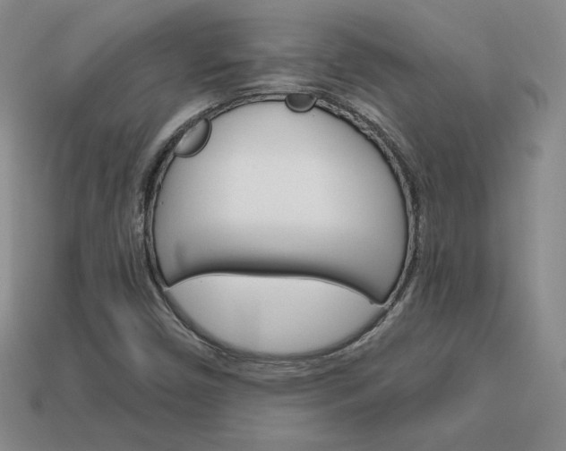 X0000114201450200910091039
