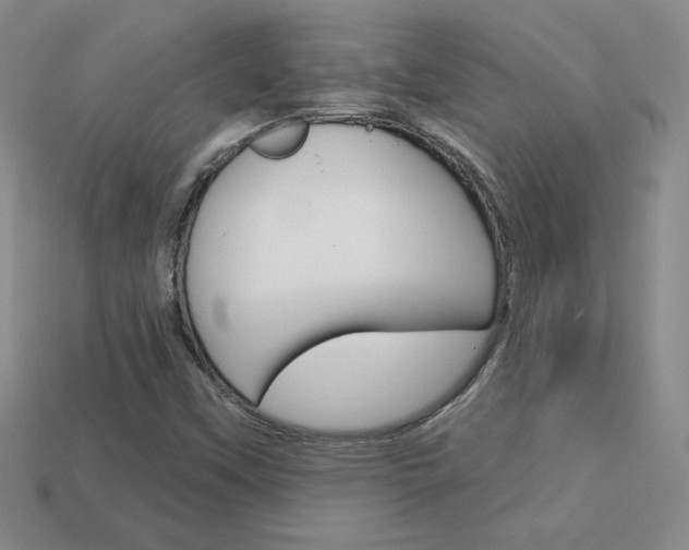 X0000114201451200910091039