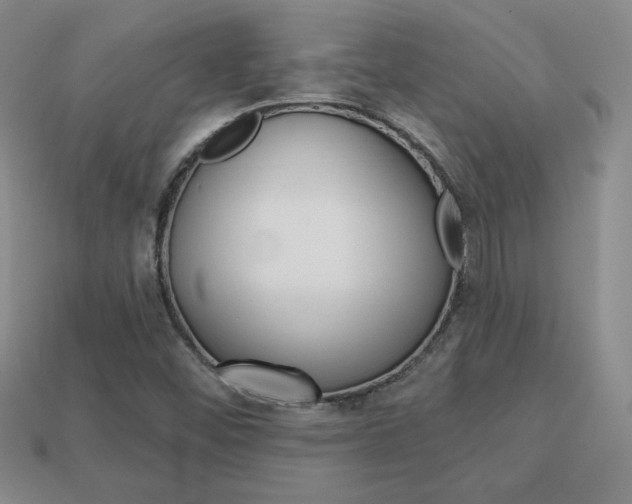X0000114201452200910091039