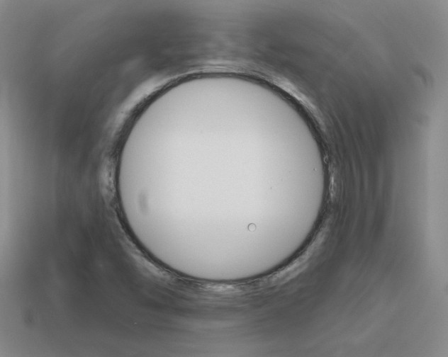 X0000114201454200910091039