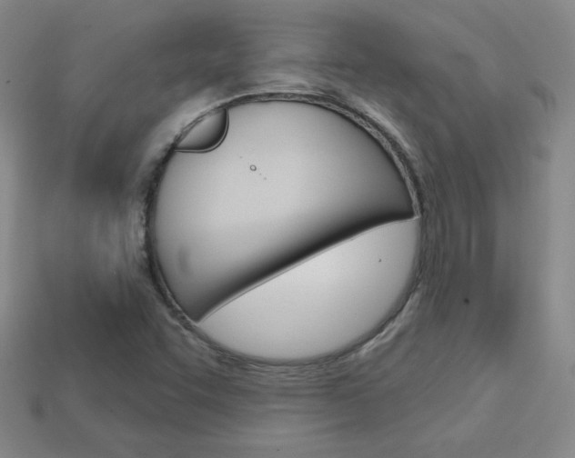 X0000114201455200910091039