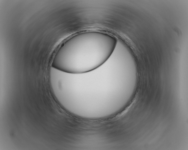 X0000114201457200910091039