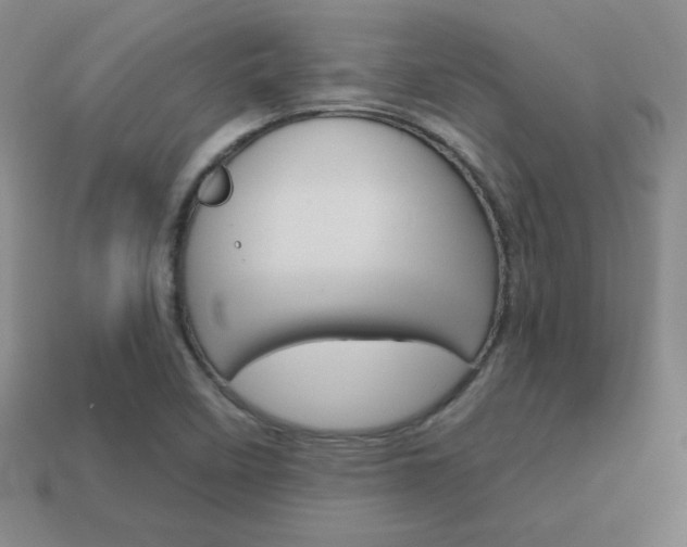 X0000114201458200910091039