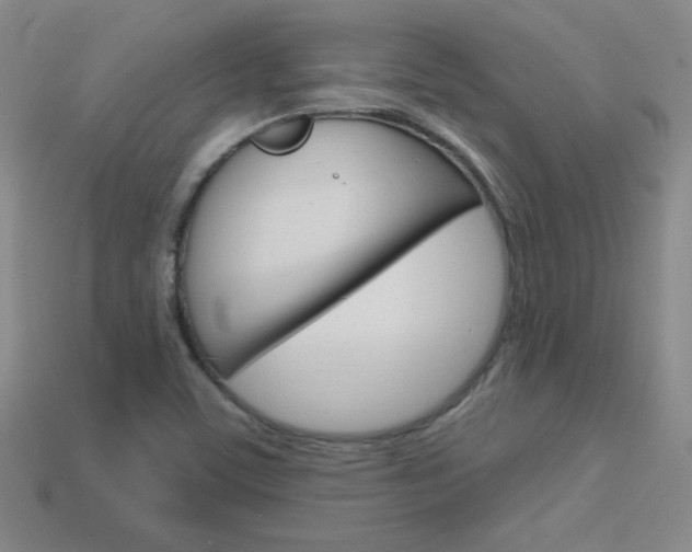 X0000114201459200910091039