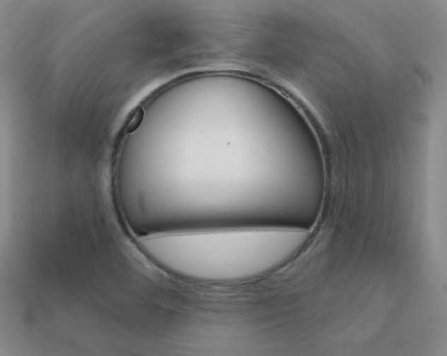 X0000114201460200910091039