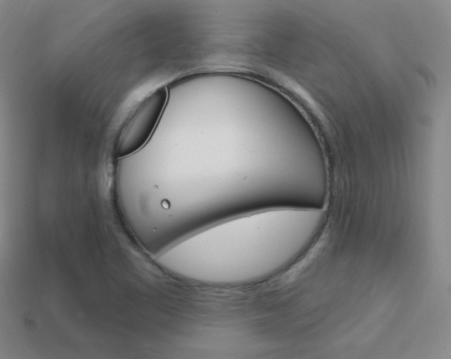 X0000114201461200910091039