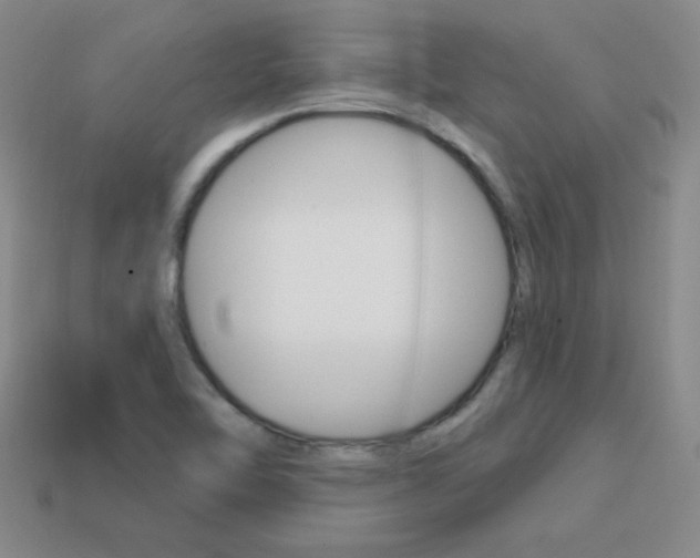 X0000114201462200910091039