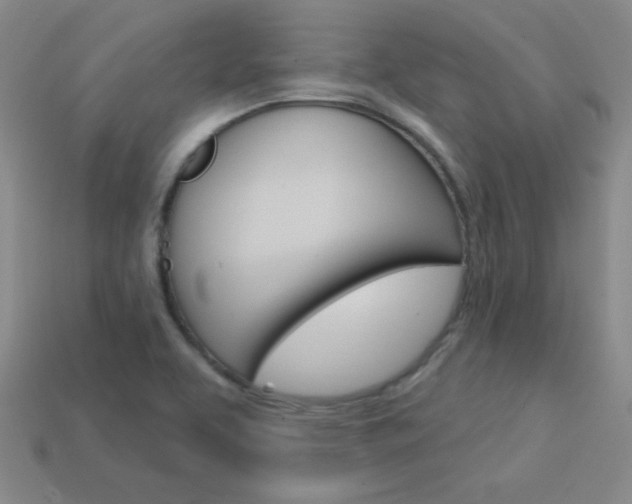 X0000114201463200910091039