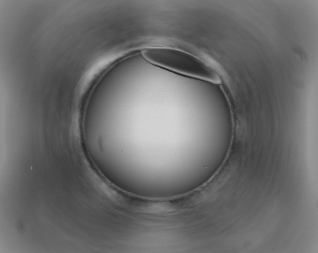 X0000114201464200910091039