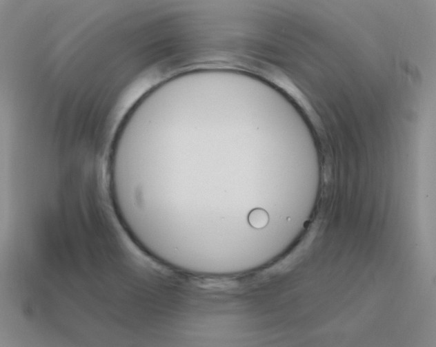 X0000114201466200910091039