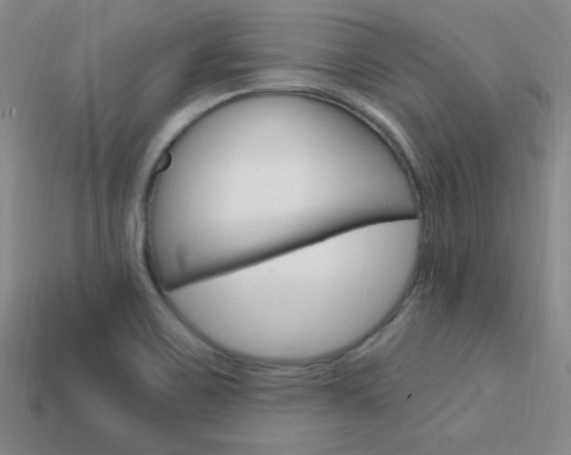 X0000114201467200910091038