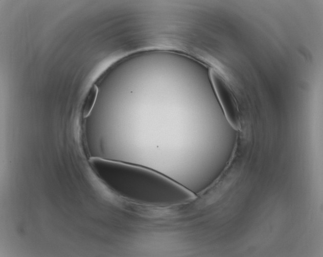 X0000114201468200910091038