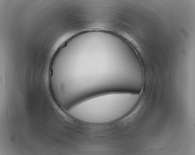 X0000114201469200910091038