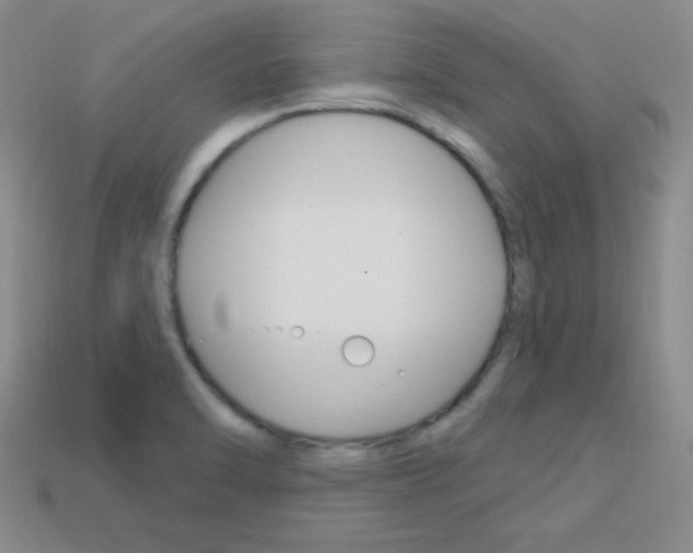 X0000114201470200910091038